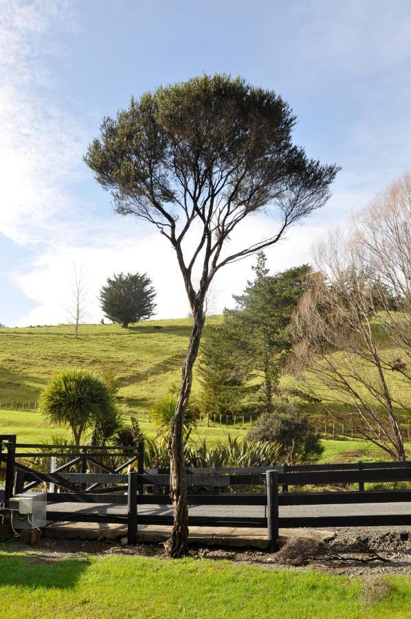 Matapouri & Tutukaka Spectacular Coastal Views- Aroha Luxury Guest Suite Luaran gambar